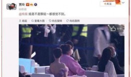 娱乐圈爆料张某某事件,揭秘背后真相与影响